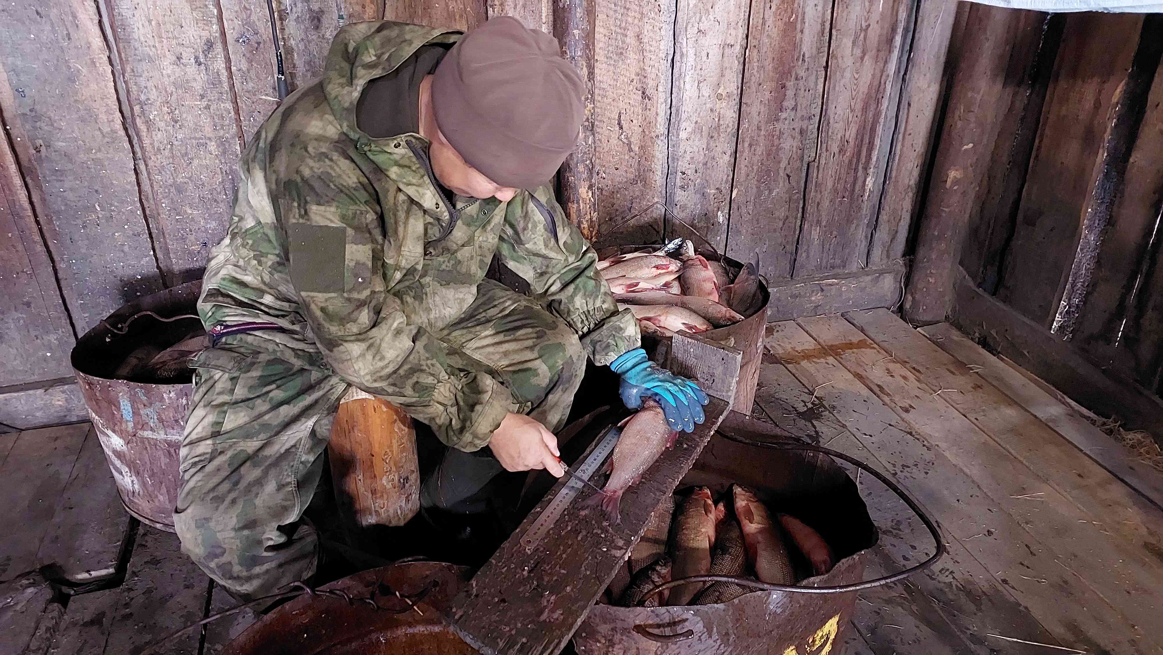 колыма. жфн проводит масспромер